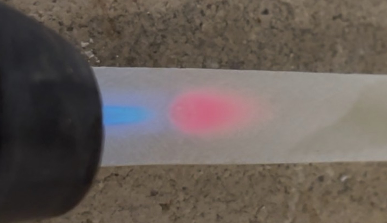 Member at Large (Academic) Nicholas Kanizaj